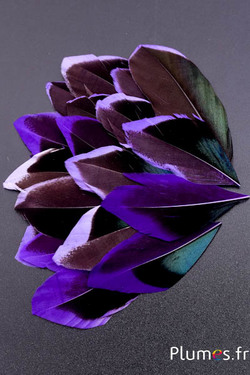 Pétales en plumes - 5-8 x 3-4 cm - violet-noir
